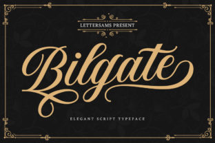 Bilgate Font Review: Elegant Script for Branding
