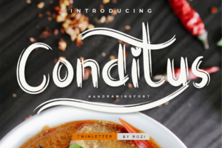Conditus: A Charming Script Font for Web Design