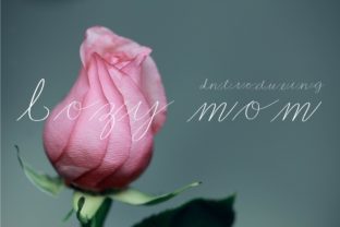 Cozy Mom Font for Modern Campaign Design