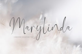 Marylinda Font: Elevate Your Brand Identity