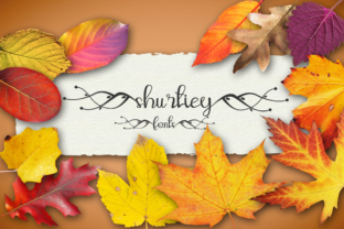 Shurtiey Typeface for Modern Web Design